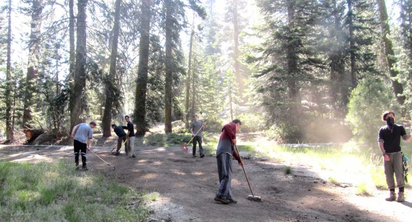A group of people use tools to work on a trail in a wooded area. 